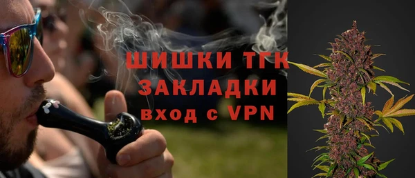 мдпв Богданович