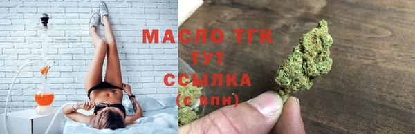 твердый Богородицк